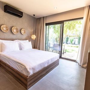 Apartament typu junior